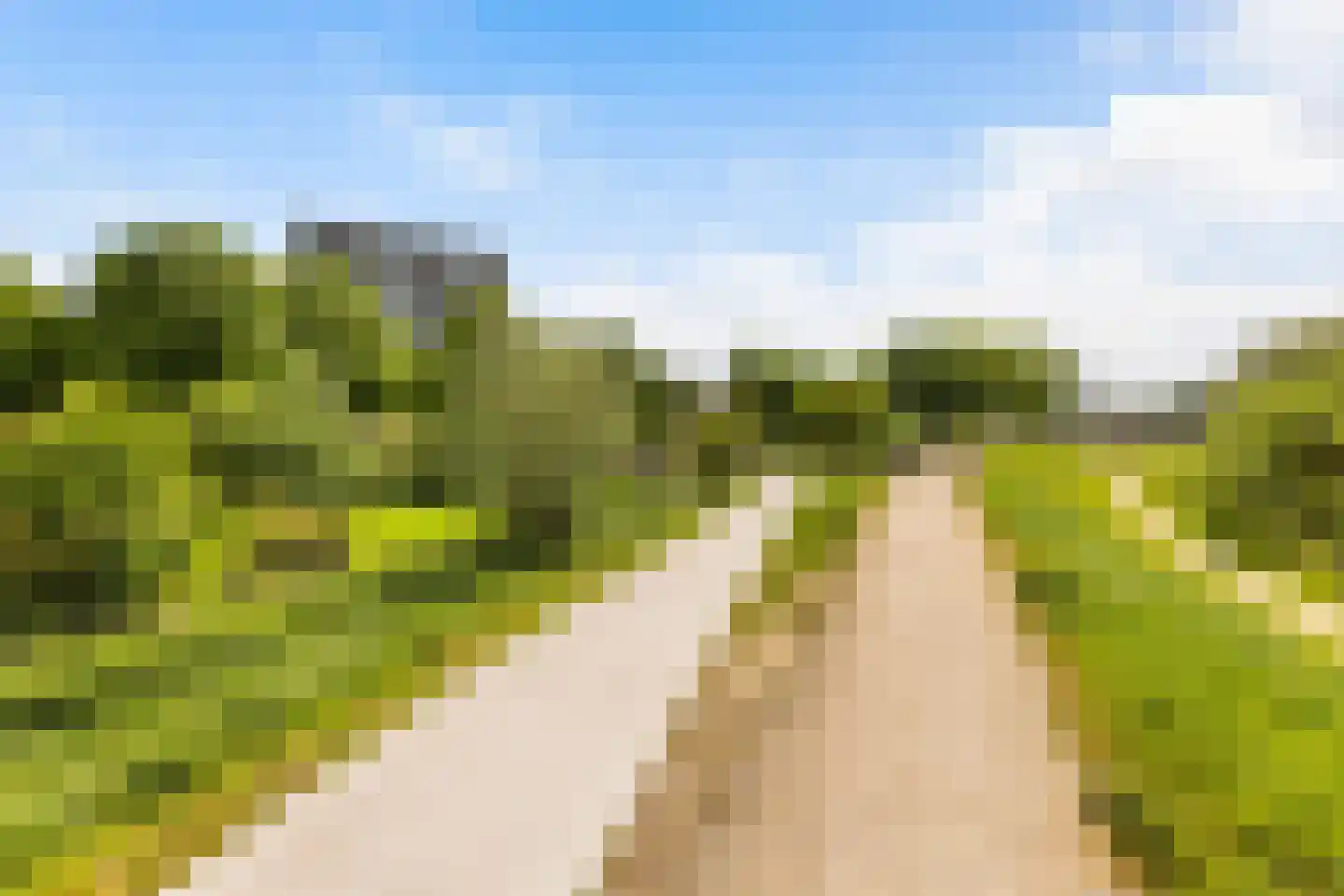Händellaan 61 Zwolle thumbnail 5