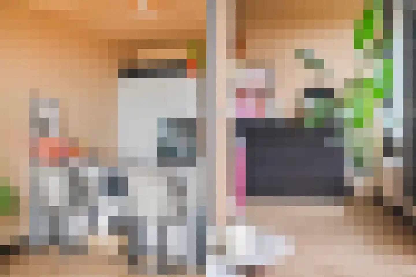Händellaan 69 Zwolle thumbnail 12