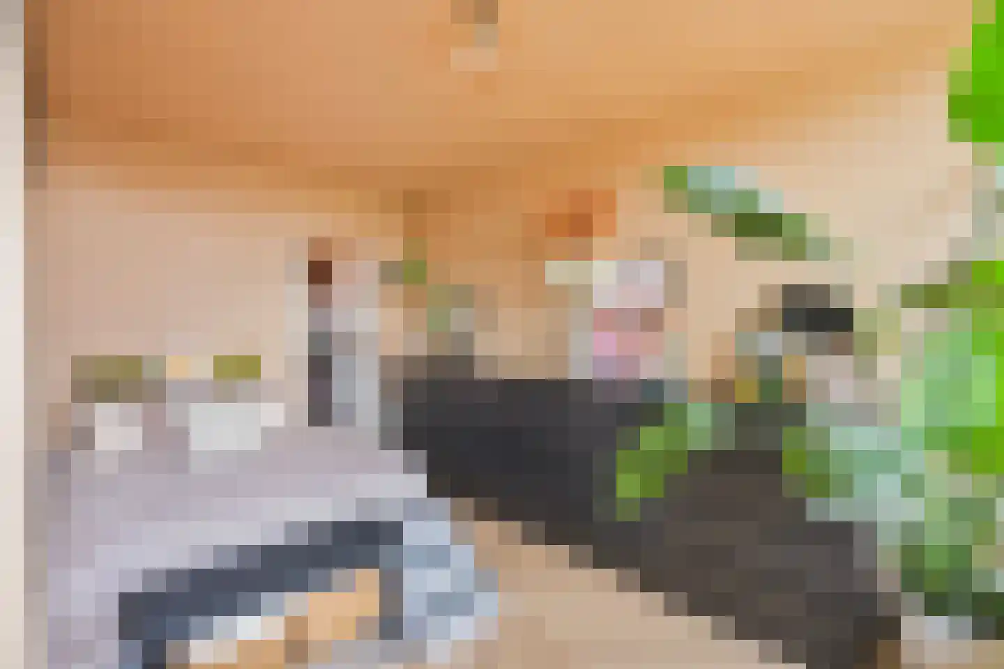 Händellaan 69 Zwolle thumbnail 13