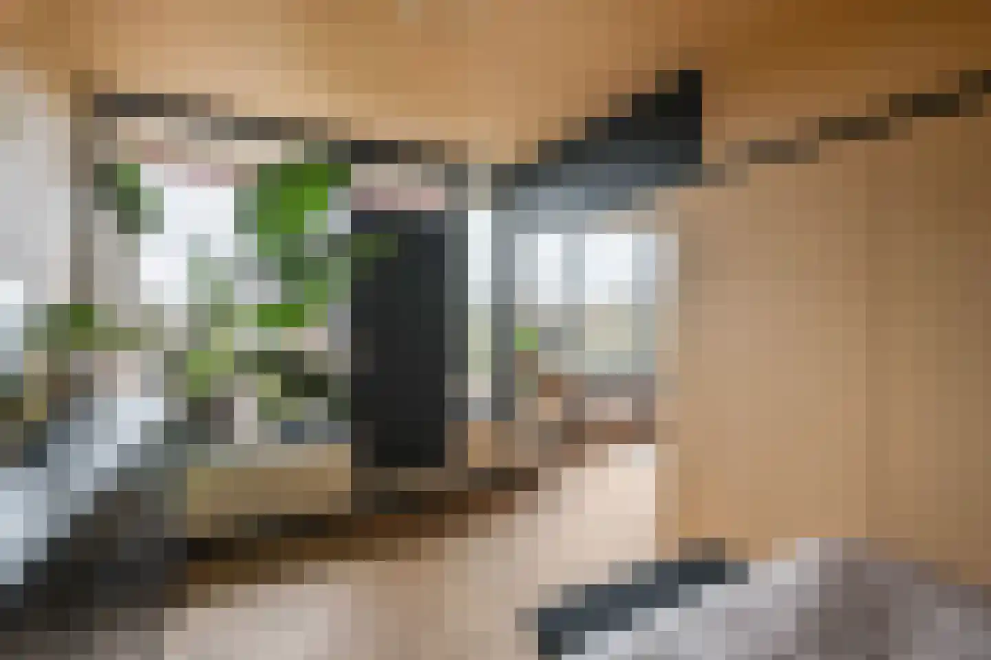 Händellaan 69 Zwolle thumbnail 16