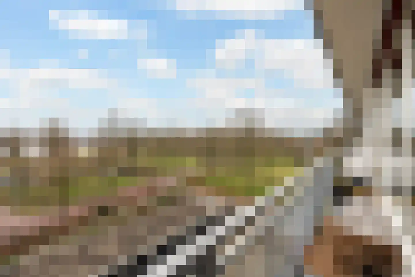 Händellaan 69 Zwolle thumbnail 18