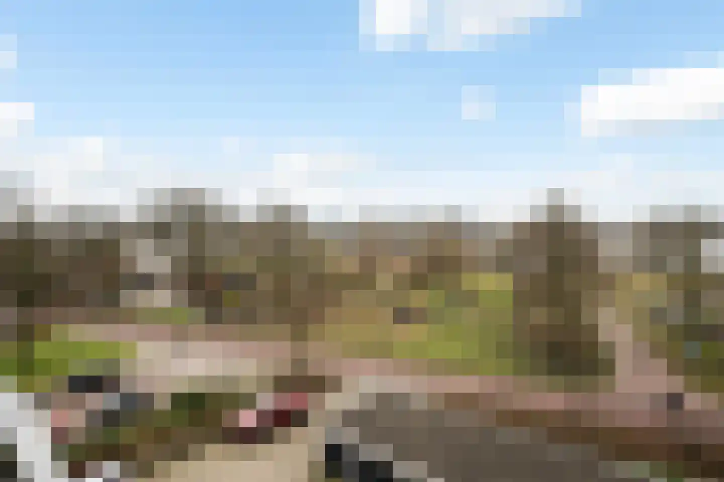 Händellaan 69 Zwolle thumbnail 20