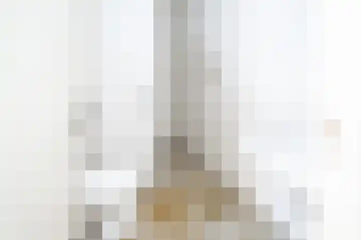Händellaan 79 Zwolle thumbnail 12