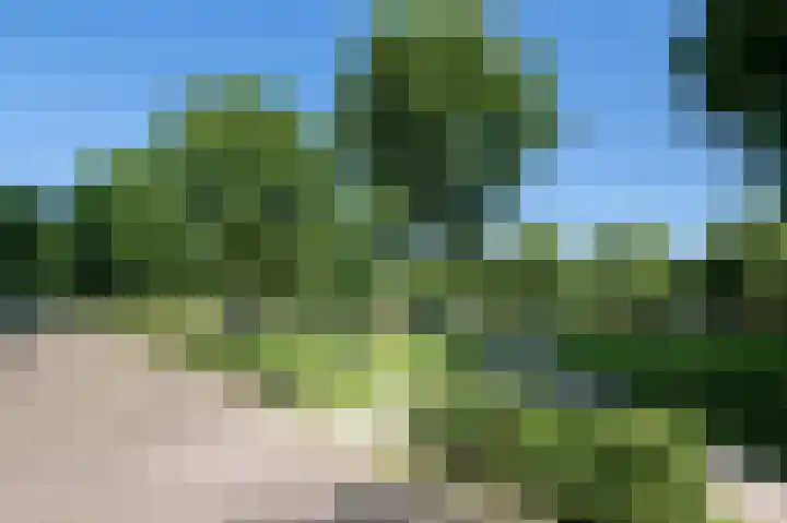 Händellaan 79 Zwolle thumbnail 20