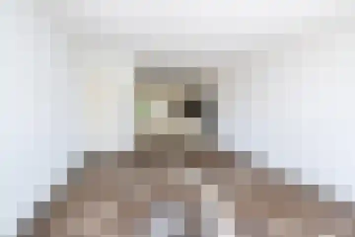 Händellaan 79 Zwolle thumbnail 6