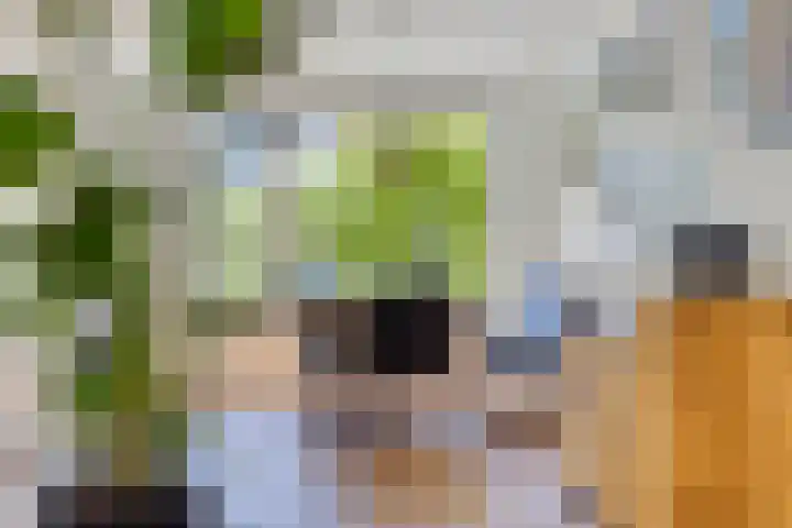 Händellaan 8 Waalre thumbnail 16