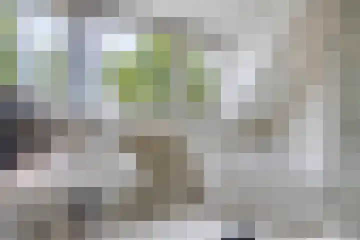 Händellaan 8 Waalre thumbnail 32