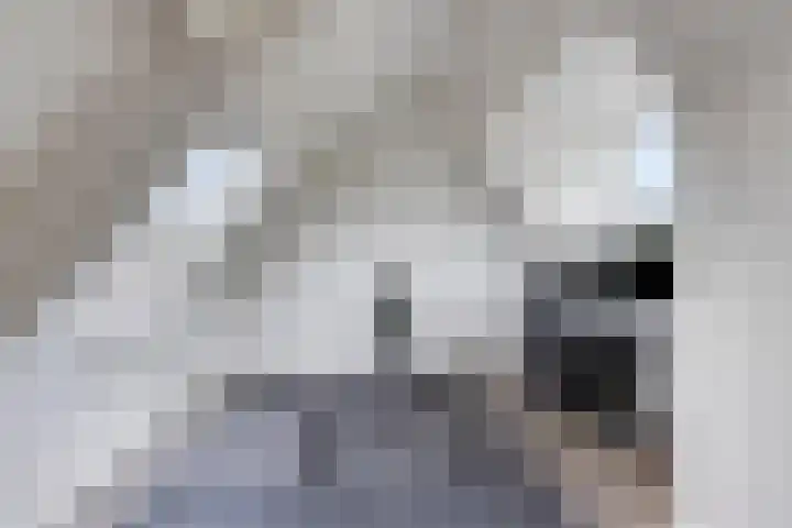 Händellaan 8 Waalre thumbnail 36