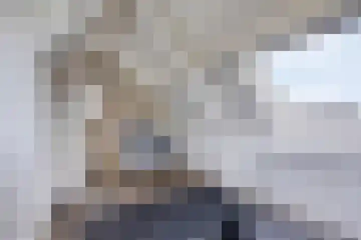 Händellaan 8 Waalre thumbnail 37