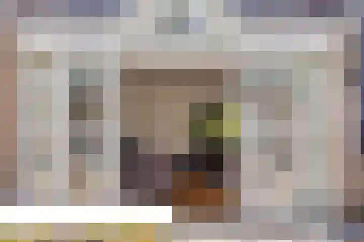 Händellaan 8 Waalre thumbnail 41