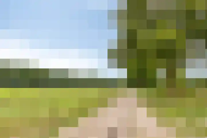 Händellaan 8 Waalre thumbnail 43