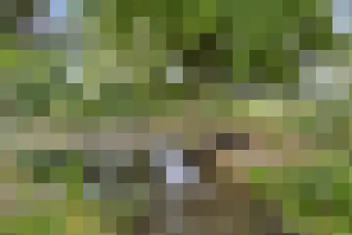Händellaan 8 Waalre thumbnail 44