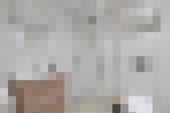 Händellaan 83 Zwolle thumbnail 21