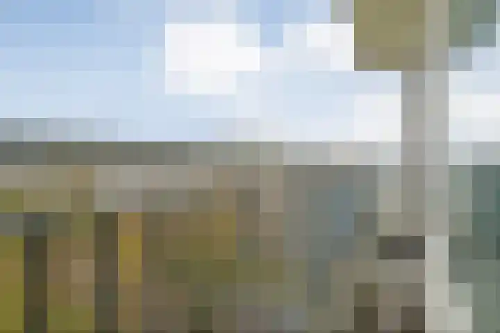 Händellaan 83 Zwolle thumbnail 24