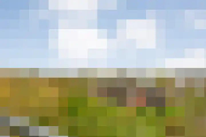 Händellaan 83 Zwolle thumbnail 25