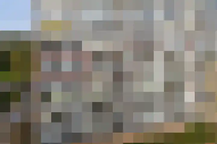 Händellaan 83 Zwolle thumbnail 26