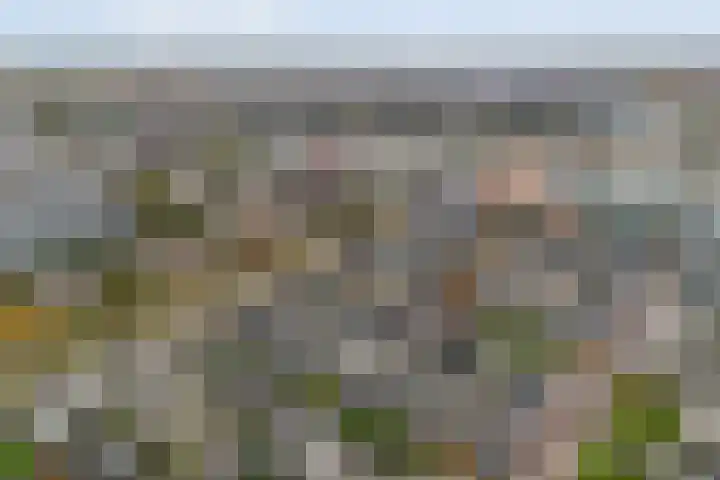 Händellaan 83 Zwolle thumbnail 4