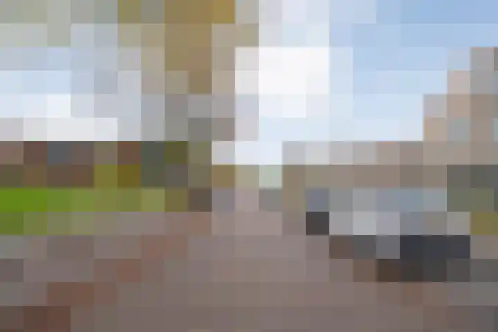 Händellaan 83 Zwolle thumbnail 5