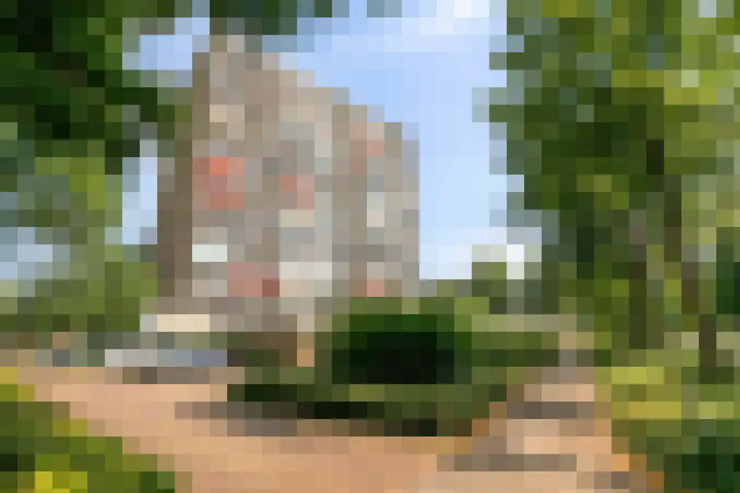 Händellaan 85 Zwolle thumbnail 10