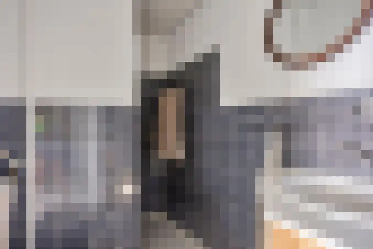 Händellaan 85 Zwolle thumbnail 32