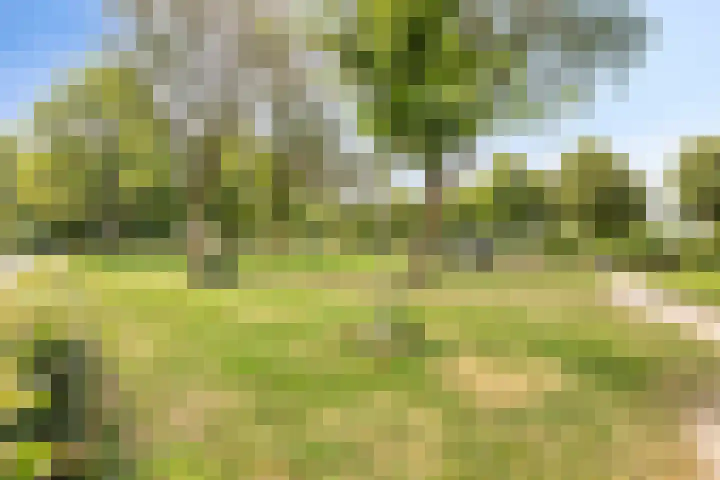 Händellaan 85 Zwolle thumbnail 36