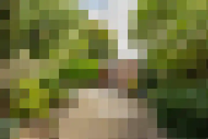 Händellaan 9 Groningen thumbnail 12