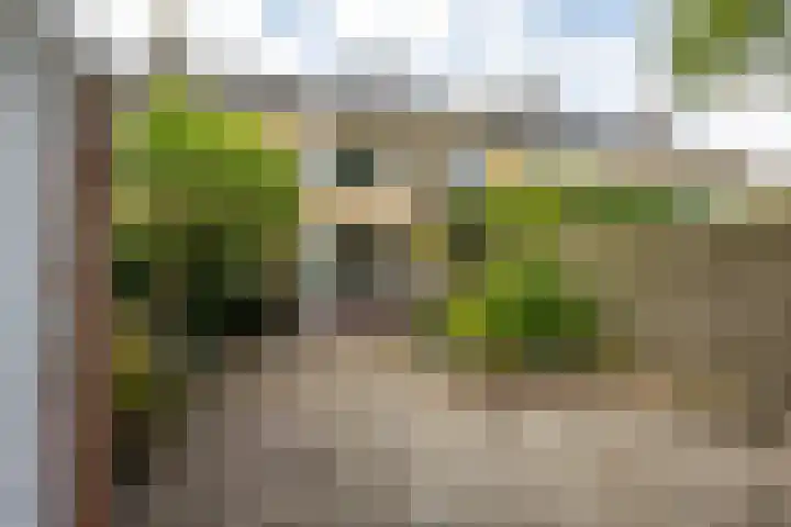 Händellaan 9 Groningen thumbnail 13