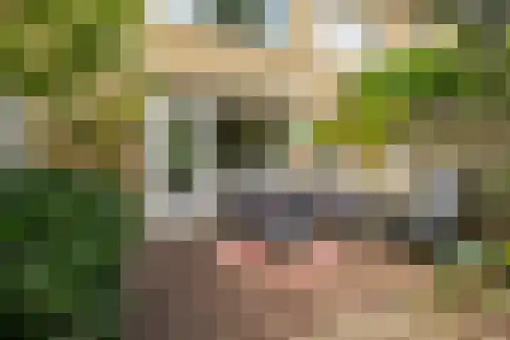 Händellaan 9 Groningen thumbnail 14