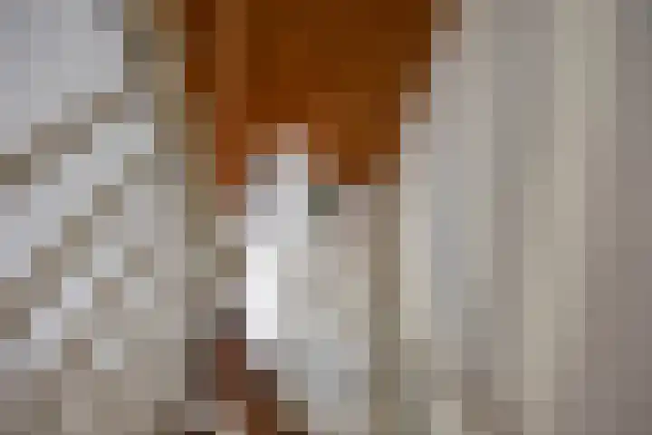 Händellaan 9 Groningen thumbnail 18