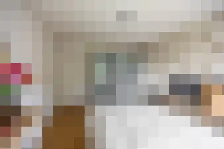 Händellaan 9 Groningen thumbnail 25