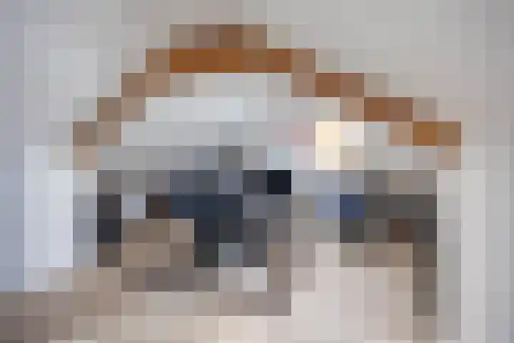 Händellaan 9 Groningen thumbnail 30