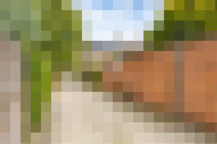 Händellaan 9 Groningen thumbnail 32