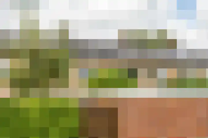 Händellaan 9 Groningen thumbnail 35