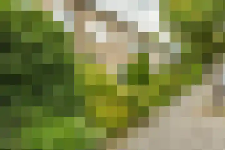 Händellaan 9 Groningen thumbnail 37