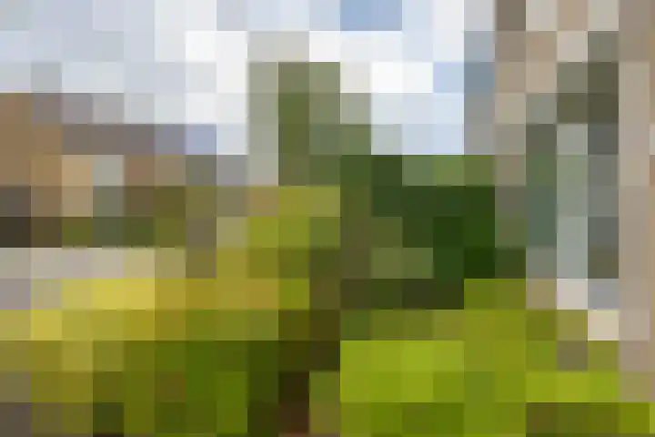 Händellaan 9 Groningen thumbnail 38