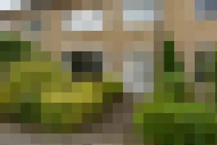 Händellaan 9 Groningen thumbnail 4