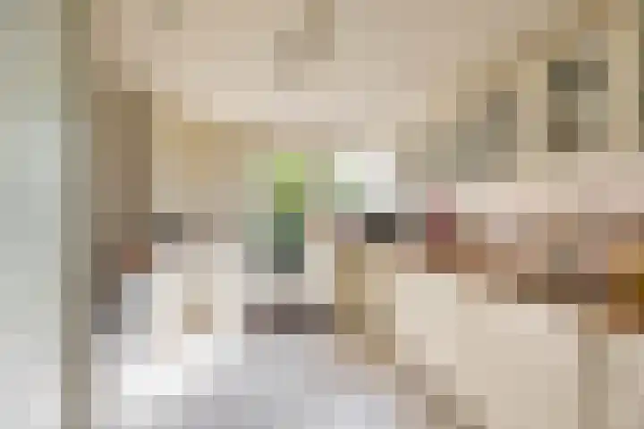 Händellaan 9 Groningen thumbnail 7