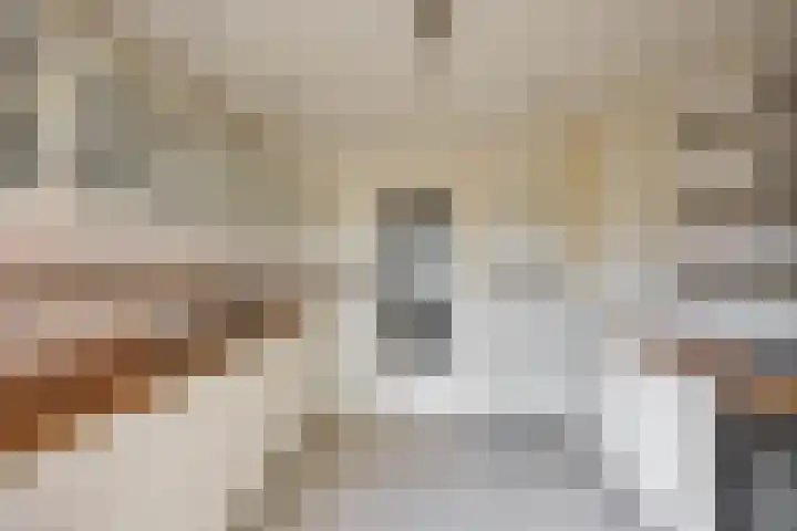 Händellaan 9 Groningen thumbnail 8