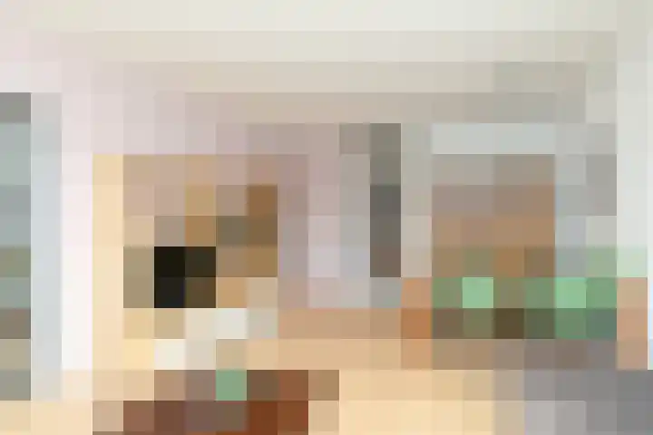 Händellaan 90 Breda thumbnail 14