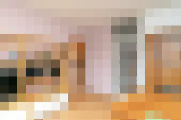 Händellaan 90 Breda thumbnail 17