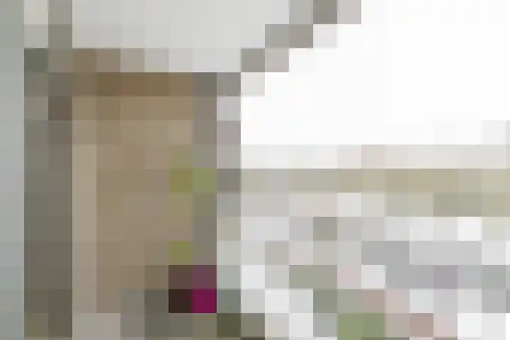 Händellaan 90 Breda thumbnail 34