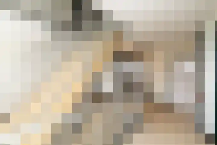 Händellaan 90 Breda thumbnail 7