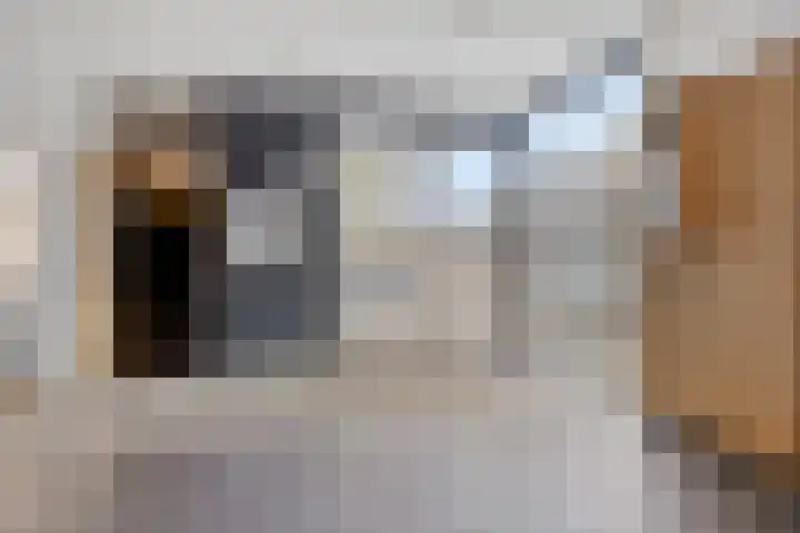 Händellaan 97 Zwolle thumbnail 21
