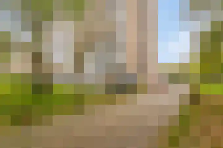 Händellaan 97 Zwolle thumbnail 25