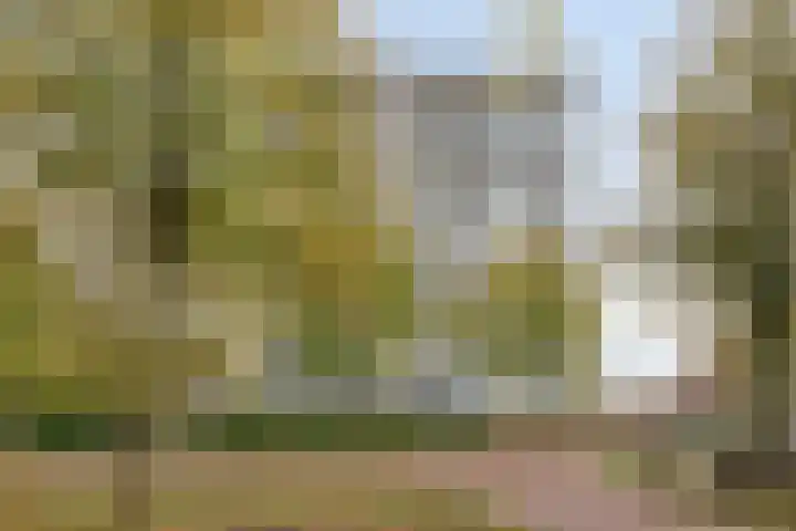 Händellaan 97 Zwolle thumbnail 27
