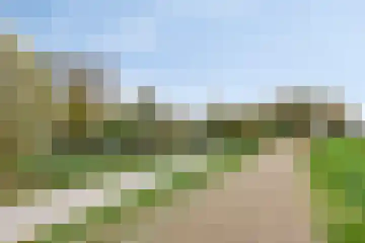 Händellaan 97 Zwolle thumbnail 28