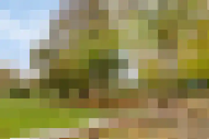 Händellaan 97 Zwolle thumbnail 30