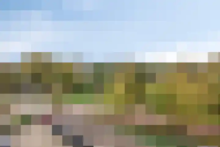 Händellaan 97 Zwolle thumbnail 9