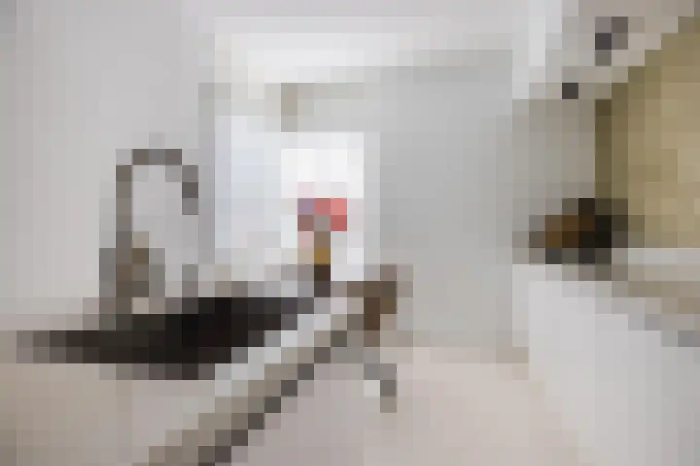 Händelrode 29 Zoetermeer thumbnail 11