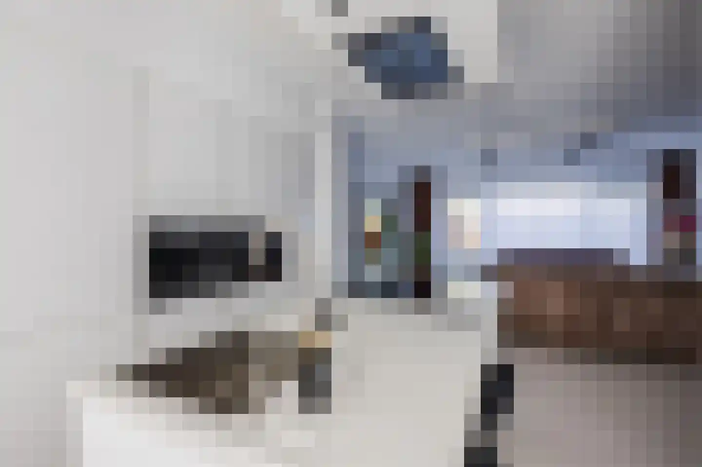 Händelrode 29 Zoetermeer thumbnail 12